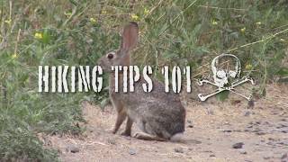 Hiking tips 101