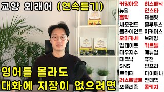 교양있는 일상대화를 위해 꼭 필요한 외래어 연속 듣기 (19-23강) screenshot 1