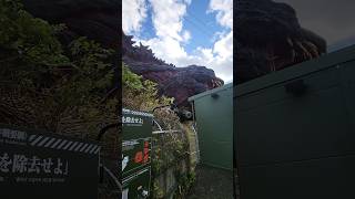 Awaji Island Godzilla