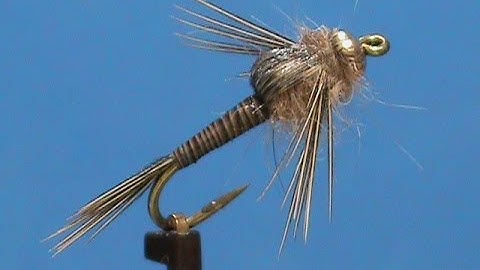 Fly Tying a Beadhead Pheasant Rump with Jim Misiura