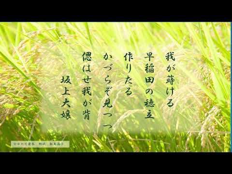 【今日の万葉集】8月27日　万葉のころは　早稲田を「わさだ」といったのですね。当時かづらを作るという表現が何度もでてきましたが、植物を髪に飾るというのは　その生命力を頂くという意味もあったようです。