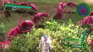 Wing Diver Crimson Inferno