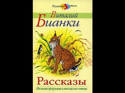 Снежная книга. Бианки В.В. Аудиорассказ