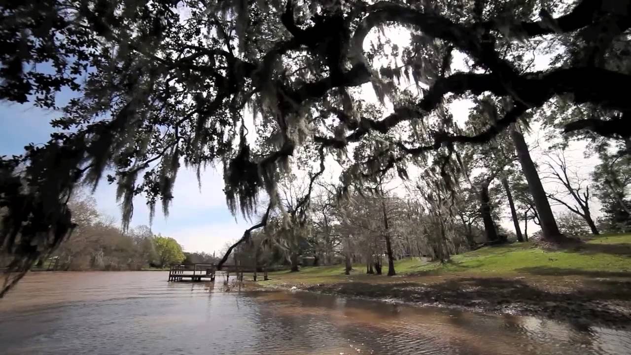 Bayou Teche Experience Youtube