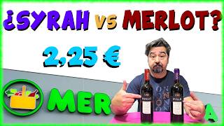 Mar de Uvas: ¿Syrah o Merlot por 2,25 €? ¡Probamos los dos! 🍷
