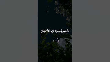 أجمل حالات واتس اب قرأن بصوت القارئ ماهر المعيقلي/#سورة_نوح #القرآن_الكريم #ماهر_المعيقلي/#3/#quran