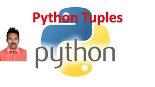 Python Fundamentals - Python Tuples