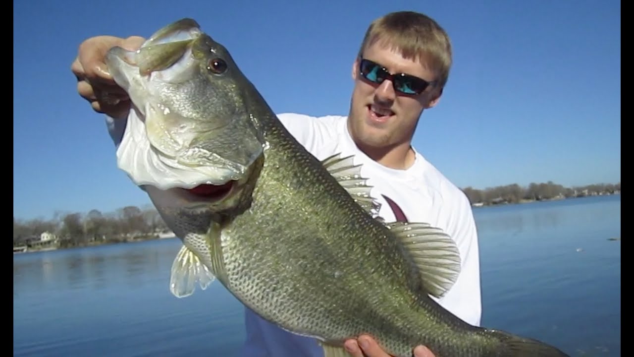 Big Bass рыба