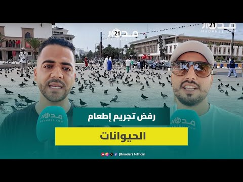 جمعيات الرفق بالحيوانات ترفض مشروع قانون منع إطعام الحيوانات الضالة لايمكن تجريم إنقاذ الحيوانات