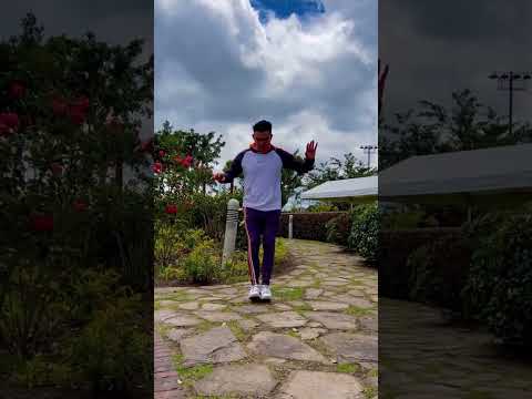 Aquí te dejamos