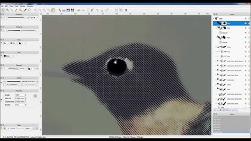 ATROPOS security printing software - demo "colibri"