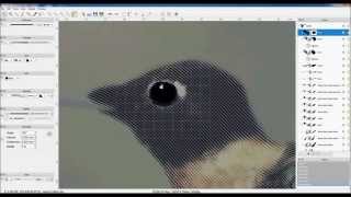 ATROPOS security printing software - demo "colibri"