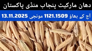 Dhan Price Today Okara Mandi Punjab 1509.1121 Monji Todays Rates 13.11.2025