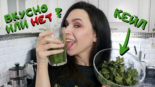 КАПУСТА КЕЙЛ || ЧТО ПРИГОТОВИТЬ? ВКУСНО ИЛИ НЕТ?