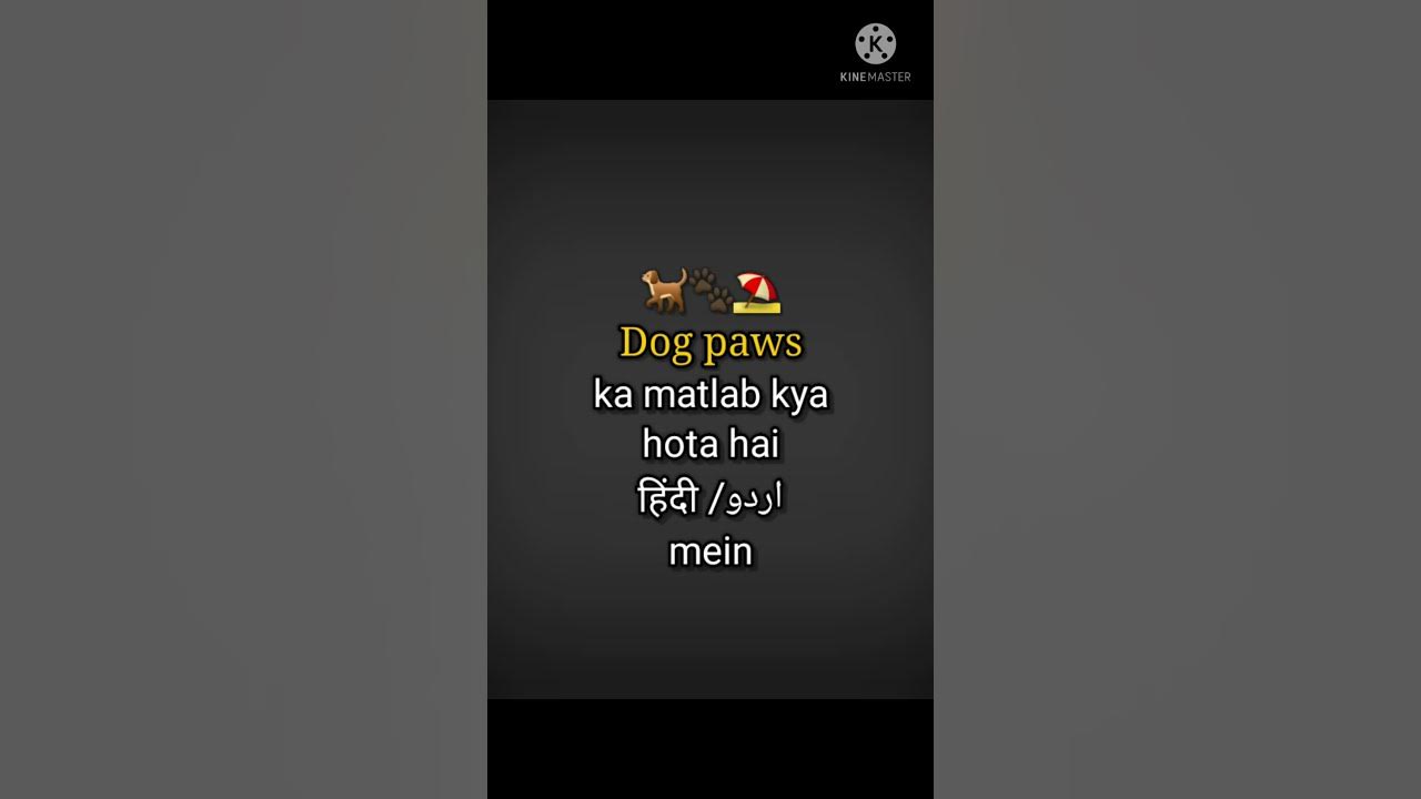 dog-paws-meaning-in-hindi-urdu-dog-paws-pronunciation-dog-paws