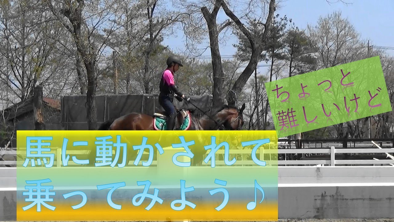 【馬に動かされてみよう！難しいけど】
