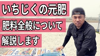 いちじくの元肥　肥料全般について解説します　いちじくVlog　#16　2021