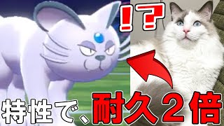 ポケモン剣盾 アローラペルシアンの育成論と対策 対物理最強の初手起点作成ポケモン Yoshiblog