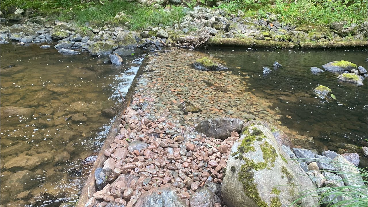 Restoring Atlantic Salmon Spawning Habitat on the James River ( Part 1