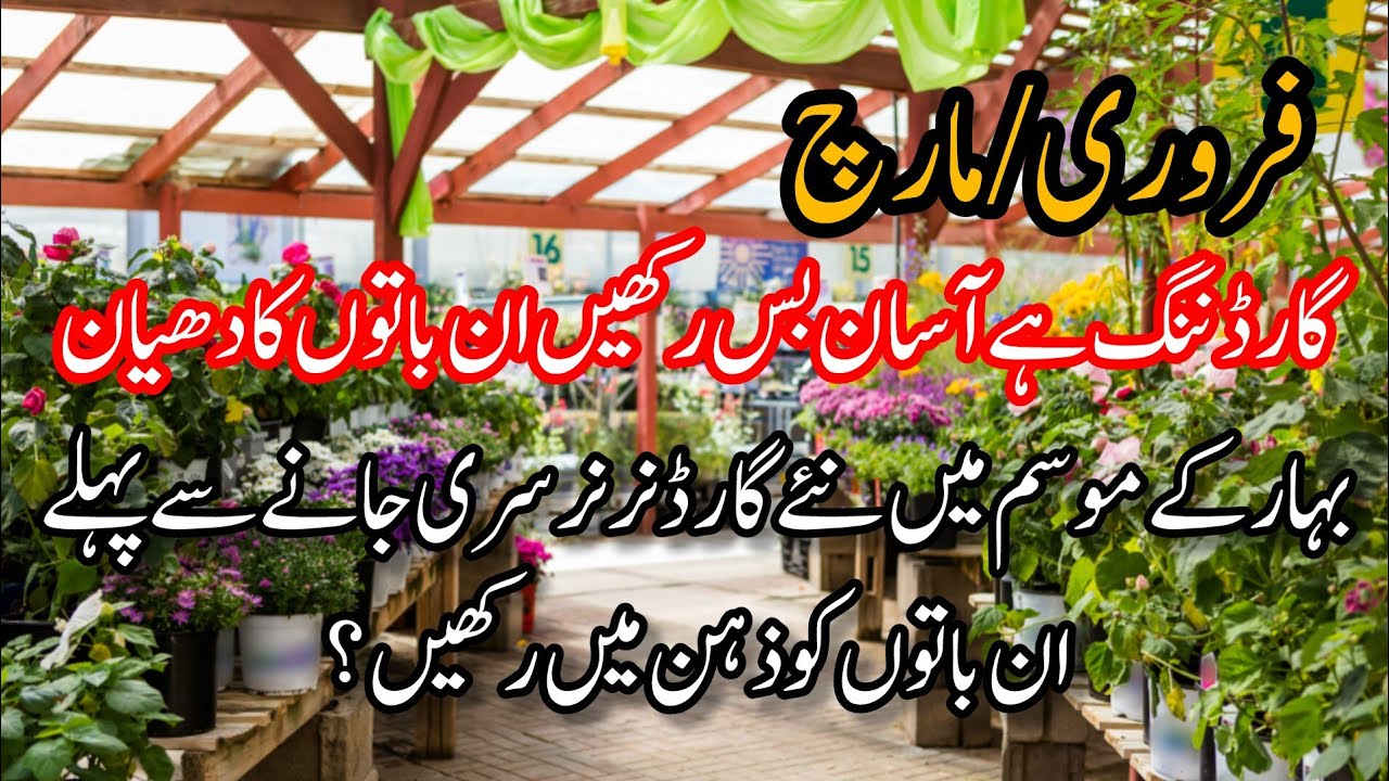 Nursary visit .Tips for new gardener's about select plants types.Names of hardy plants for beginners