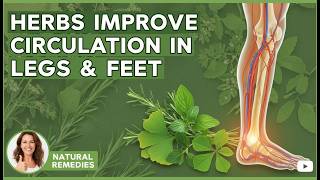 10 Miracle Herbs to Supercharge Your Leg Circulation NOW!