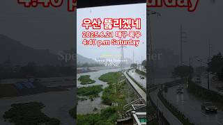 시원하이 막걸리 땡기는 소리 #장마 #폭우 #빗소리 #비 #rain #rainy #rainyday #빗소리asmr #heavyrain #asmr #whitenoise #백색소음