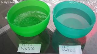Timelapse Fresh Water And Salt Water