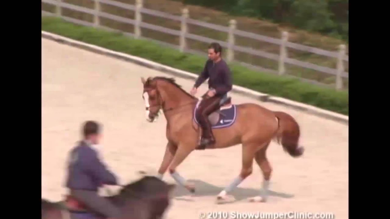 ShowJumperClinic.com Presents Rodrigo Pessoa Day 2 Riding & Lecturing Road Runner sample 1978