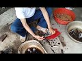90% người không biết lỗi này khi dầu xuống bụng máy/SON HAI