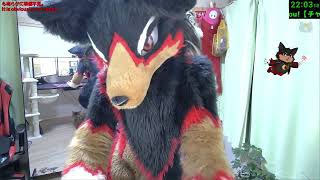 【Fursuit/獣化】火曜のまったりもふもふタイム🐶🐾 20260901【ジュージュー/JuuJuu】#freetalk #雑談 #furry #ケモノ #fursuit