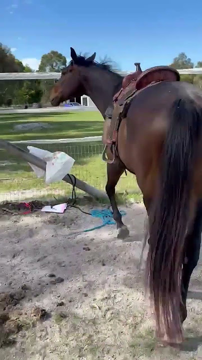 3E2E9BD0 7A91 4A5D 8149 65E55890813A