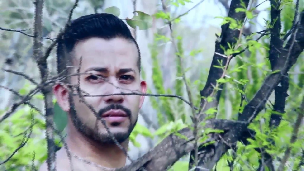 Ecofilm festival 2016