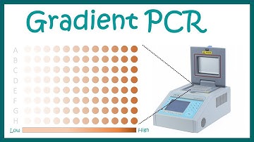 Gradient PCR