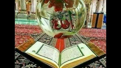 سورة هود الآية ٢٨
