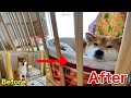 【柴犬】5歳になった我が子に新しいケージをプレゼントしました!