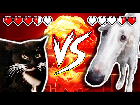 maxwell vs borzoi (explosions)