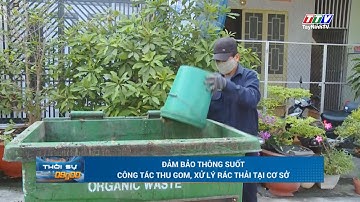 Đảm bảo thông suốt công tác thu gom, xử lý rác thải tại cơ sở | TayNinhTV