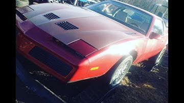 Firebird 5.3 LS Swap Project Car, Nature Hike