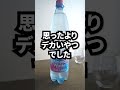 【検証】トップバリュの硬水がほぼ牛乳ってマ????