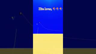 kite lover🪁🪁 short
