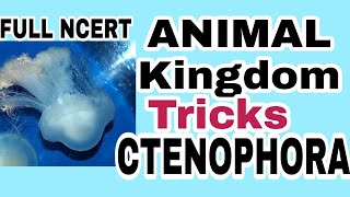 NEET/AIIMS 2019 ANIMAL KINGDOM TRICKS Lecture 4 (Phylum Ctenophora) Full NCERT based