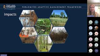 2025 GLPC Webinar: Highlighting the Phragmites Active Adaptive Management Program