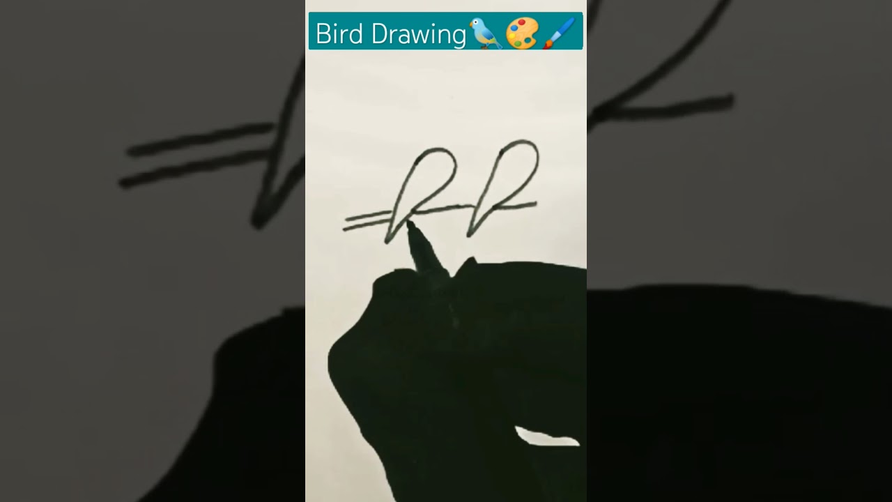 Bird Drawing🐦🎨🖌️||