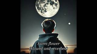 Sweet flower song lofi