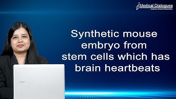 Synthetic mouse embryo from stem cells which has brain heartbeats