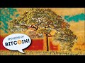 Privacy and Scale - Everything you need to know about Bitcoin's Taproot (SOB#455)