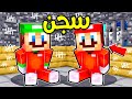 فلم ماين كرافت ماريو ولويجي في السجن 
