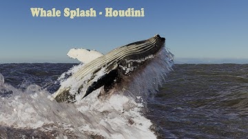 Whale Splash   Houdini