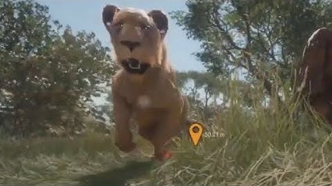 Africa in a Nutshell - The Hunter: Call of The Wild