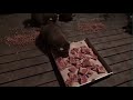 Baby Raccoons Pizza Party